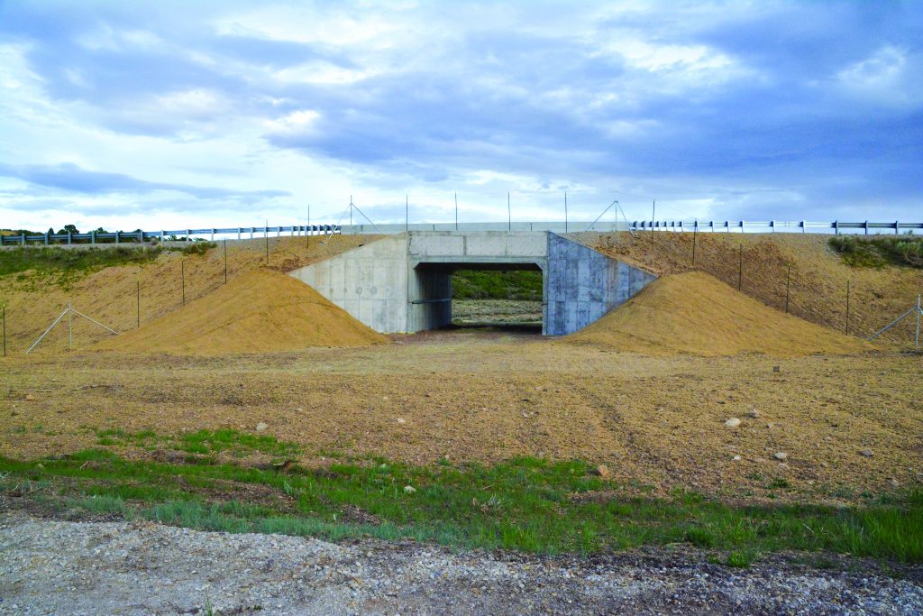 Safe Wildlife Crossing in Monticello, Utah Oldcastle Infrastructure