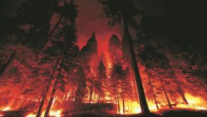 Wildfire Photo 2